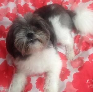 Meet your Posher, Sherri